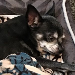 Meet your Posher, Mandy